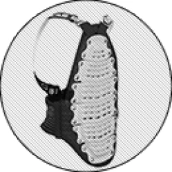 CHRÁNIČE